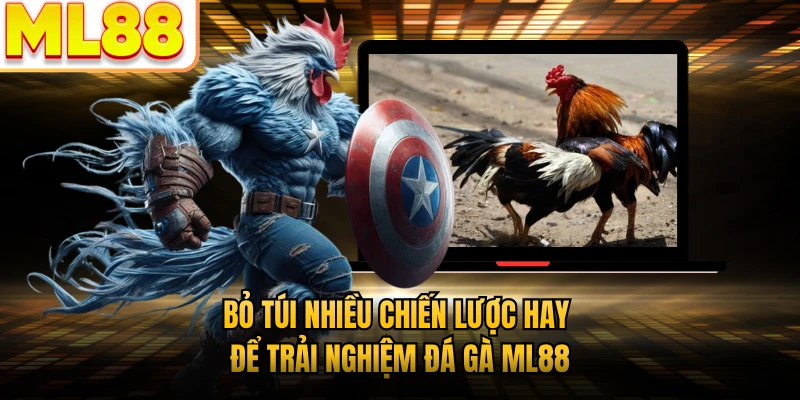 Bỏ túi nhiều chiến lược hay để trải nghiệm đá gà ML88