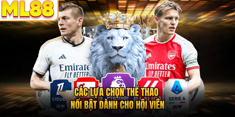 Các lựa chọn thể thao nổi bật dành cho hội viên