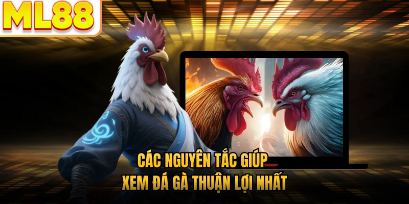 Các nguyên tắc giúp xem đá gà thuận lợi nhất