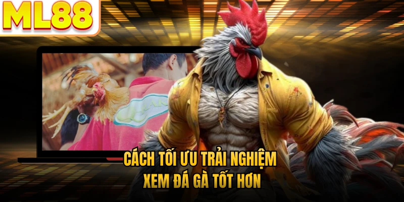 Cách tối ưu trải nghiệm xem đá gà tốt hơn