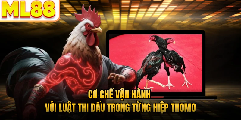 Cơ chế vận hành với luật thi đấu trong từng hiệp Thomo