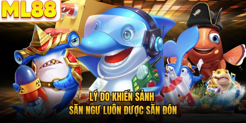 Lý do khiến sảnh săn ngư luôn được săn đón