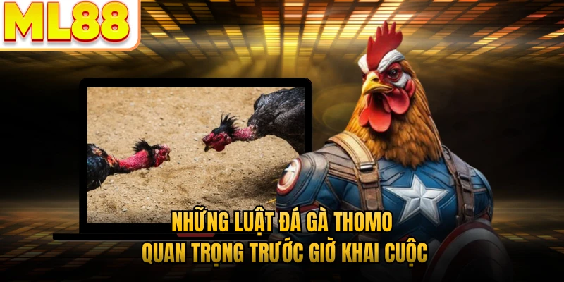 Những luật đá gà Thomo quan trọng trước giờ khai cuộc