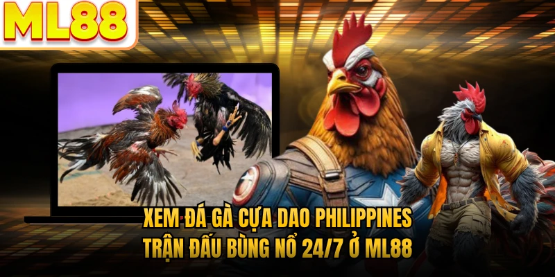 Xem Đá Gà Cựa Dao Philippines - Trận Đấu Bùng Nổ 24/7 Ở ML88